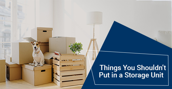 Things You Shouldn’t Put in a Storage Unit