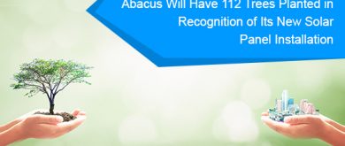 Trees getting planted by Abacus in recognition of its new solar panel installation